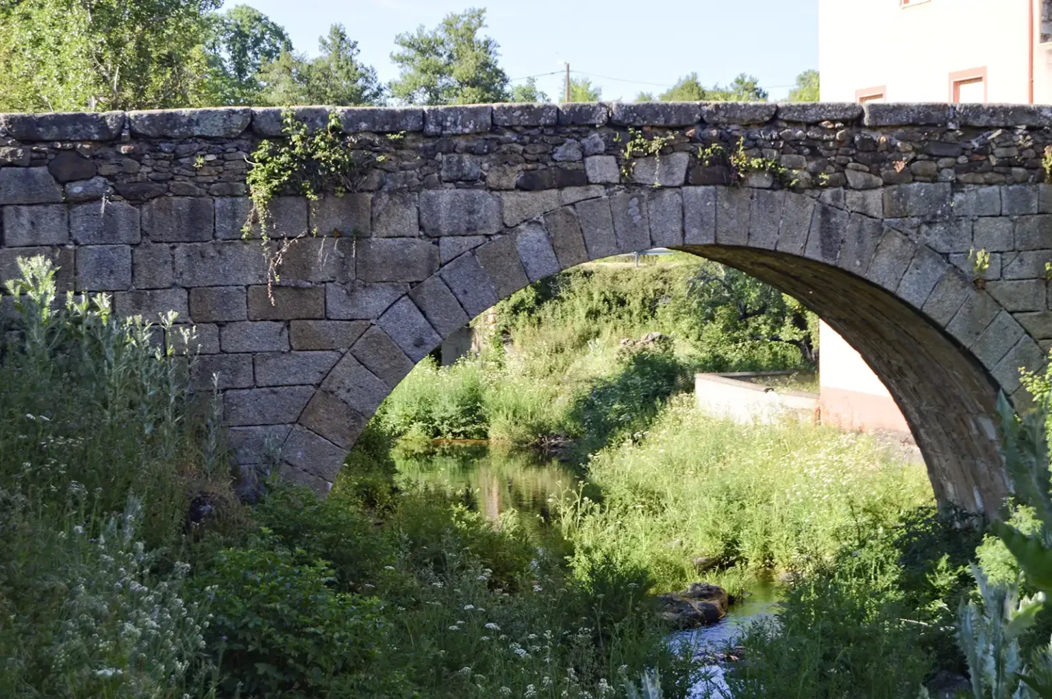 Puente de piedra y entorno natural